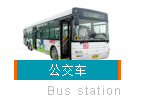 地图