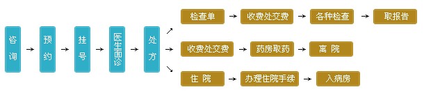 医博（YEBO）医院就诊流程